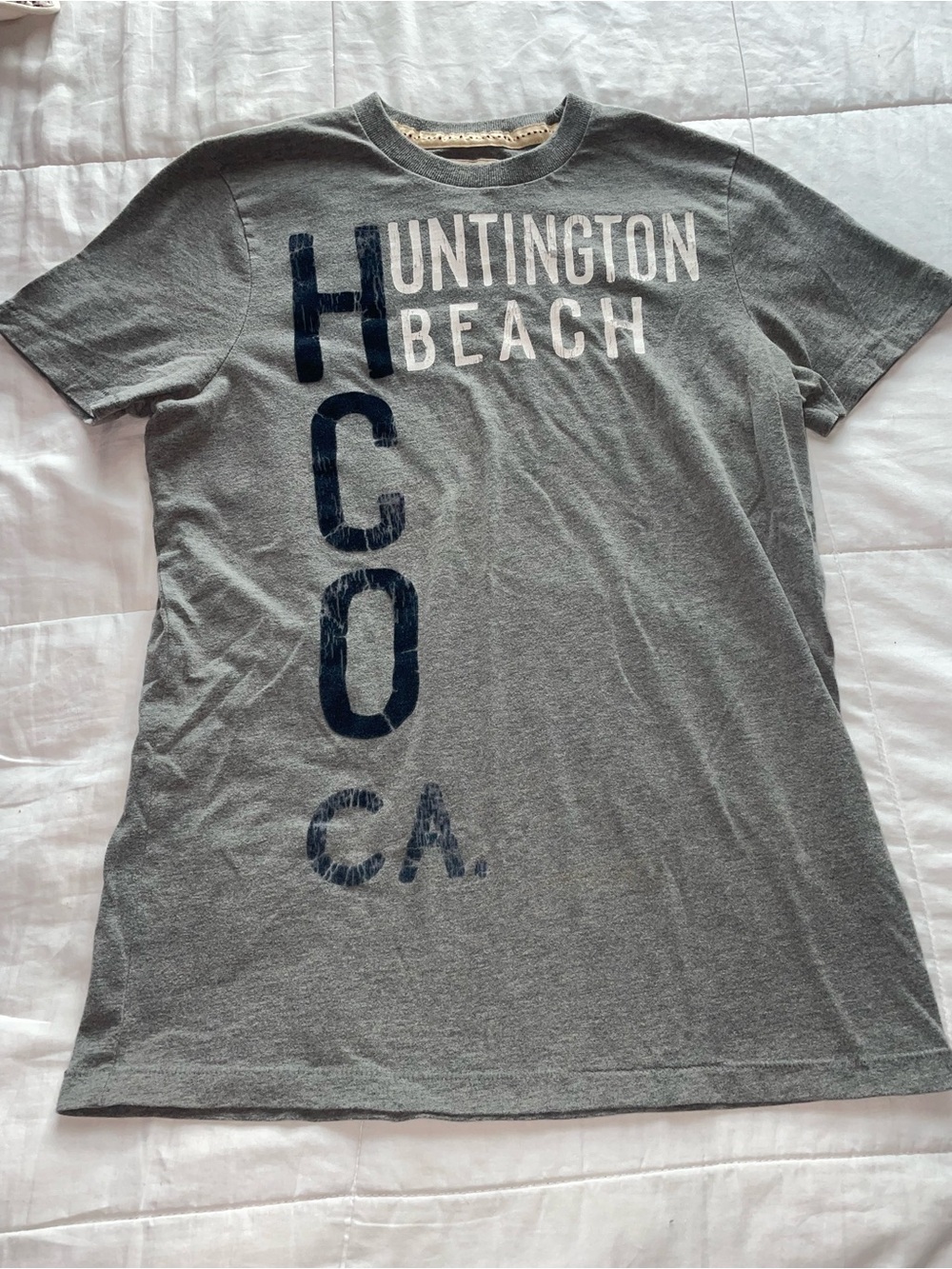 Hollister Vintage Mens Gray HCO Huntington Beach Tee Shirt Large Fitted Beach